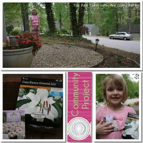 Our Environment ~ Community Final Project