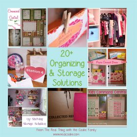 20+ Organizing Ideas and Storage Solutions