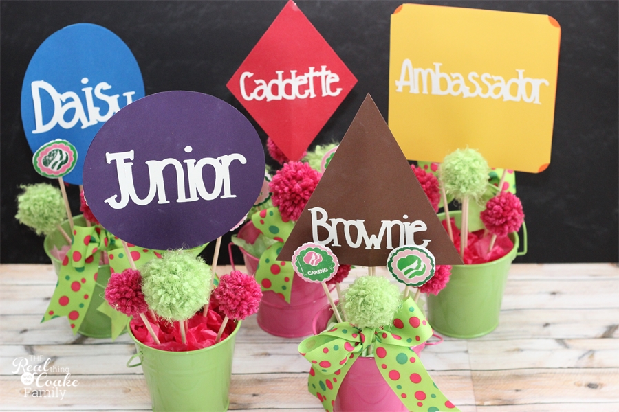 Girl Scouts Bronze Award Ceremony Ideas