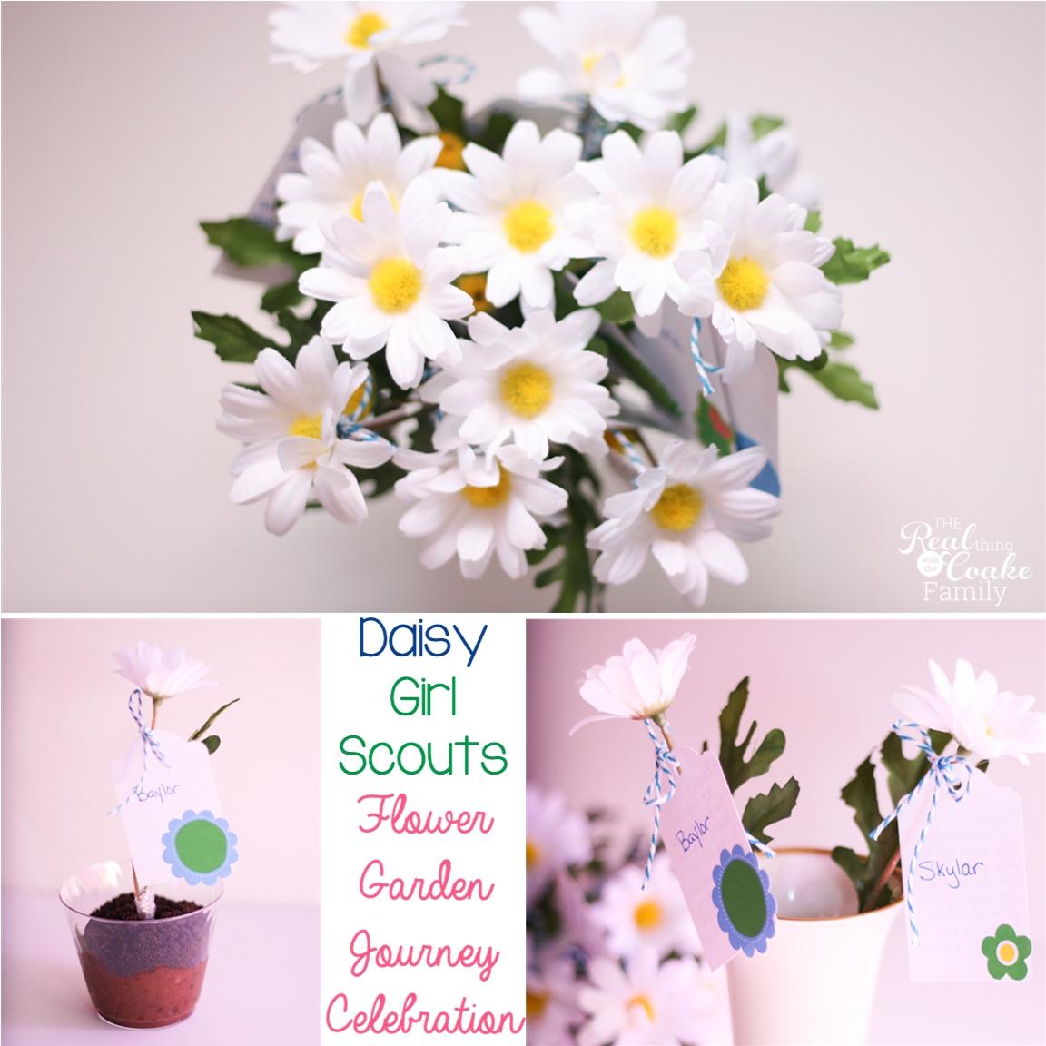 daisy girl scouts ~ flower garden journey celebration