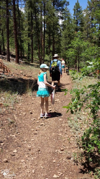 1 mom, 2 kids, 5346 mile road trip with all kinds of fun! Great ideas of places to stop 1 mom, 2 kids, 5346 mile road trip with all kinds of fun! Great ideas of places to stop