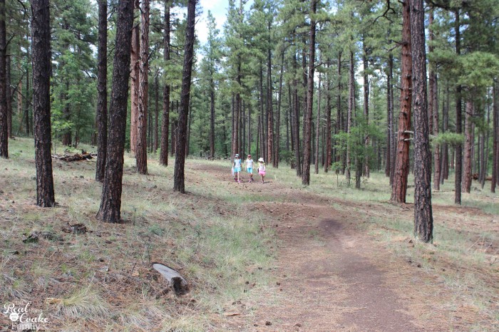 1 mom, 2 kids, 5346 mile road trip with all kinds of fun! Great ideas of places to stop 1 mom, 2 kids, 5346 mile road trip with all kinds of fun! Great ideas of places to stop
