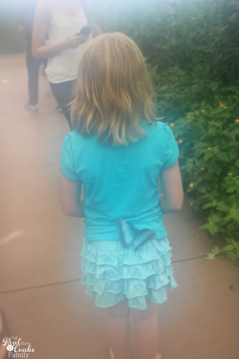 1 mom, 2 kids, 5346 mile road trip with all kinds of fun! Great ideas of places to stop 1 mom, 2 kids, 5346 mile road trip with all kinds of fun! Great ideas of places to stop