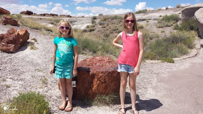 1 mom, 2 kids, 5346 mile road trip with all kinds of fun! Great ideas of places to stop! #Travel #RoadTrip 1 mom, 2 kids, 5346 mile road trip with all kinds of fun! Great ideas of places to stop! #Travel #RoadTrip