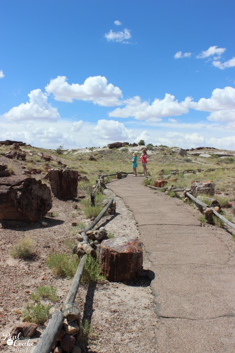 1 mom, 2 kids, 5346 mile road trip with all kinds of fun! Great ideas of places to stop! #Travel #RoadTrip 1 mom, 2 kids, 5346 mile road trip with all kinds of fun! Great ideas of places to stop! #Travel #RoadTrip