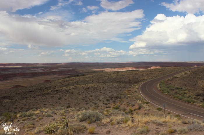 1 mom, 2 kids, 5346 mile road trip with all kinds of fun! Great ideas of places to stop! #Travel #RoadTrip 1 mom, 2 kids, 5346 mile road trip with all kinds of fun! Great ideas of places to stop! #Travel #RoadTrip