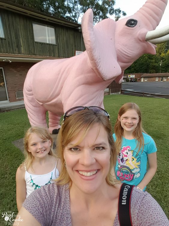 This mom and her two kids went on a 7,000+ mile Family Road Trip. You can not believe all the fun they find and things they do. Amazing! Need to plan some travel like this for next summer. This mom and her two kids went on a 7,000+ mile Family Road Trip. You can not believe all the fun they find and things they do. Amazing! Need to plan some travel like this for next summer.