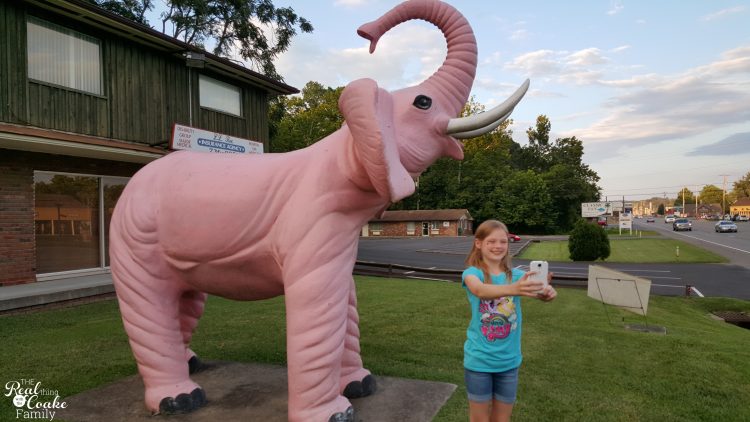 This mom and her two kids went on a 7,000+ mile Family Road Trip. You can not believe all the fun they find and things they do. Amazing! Need to plan some travel like this for next summer. This mom and her two kids went on a 7,000+ mile Family Road Trip. You can not believe all the fun they find and things they do. Amazing! Need to plan some travel like this for next summer.