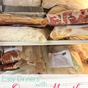 Once a Month Cooking for Easy Dinners and a Sane Mommy