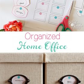 Real Organized Office